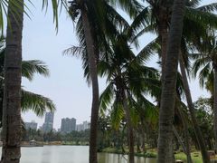 -白沙门生态公园
