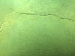 -白鹤梁水下博物馆