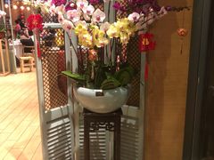 -若蘭慈·无国界素食料理(欢乐海岸店)