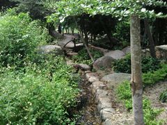 android_upload_pic-放鸡岛生态旅游国际度假区