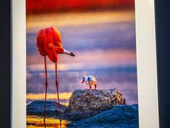 -罗红摄影艺术馆