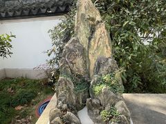 -上海醉白池公园