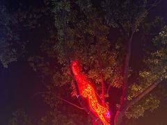 -四川北路(地铁站)