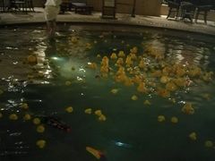 -苏州湾王焰温泉度假酒店