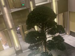 -外滩·云南人家(昆明旗舰店)