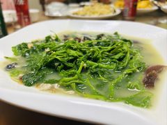 -钟叔烩鸡
