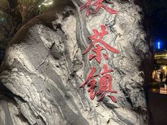-茯茶镇