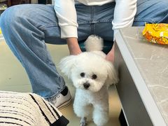 -心仪动物医院·牙专科·肿瘤·心脏科(西客站院)