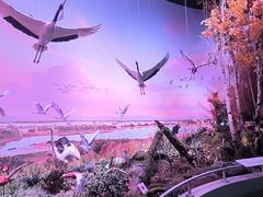 -中国湿地博物馆