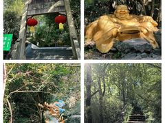-紫金山山顶公园