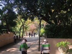 -九龙公园
