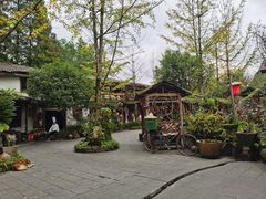 -青城甲(青城山店)