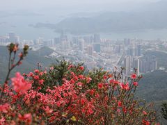 -梧桐山风景名胜区