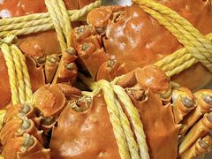 -阳澄湖大闸蟹·琼灵阁牌品牌连锁(吴中总店)