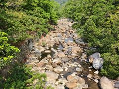 -海南热带雨林国家公园吊罗山景区