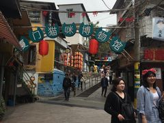 -猫咪博物馆(顶澳仔猫街店)