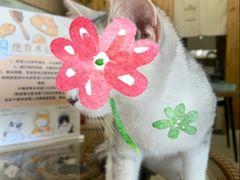 -亚宠动物医院·芭比堂宠物医院(盘龙店)