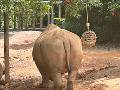 -广州长隆野生动物世界