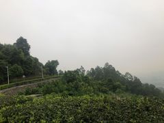 -火炉山森林公园
