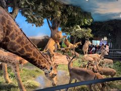 -国家自然博物馆