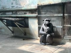 -石家庄市动物园