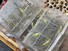 -王婆炒鱼(总店)