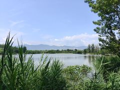 -翠湖国家城市湿地公园