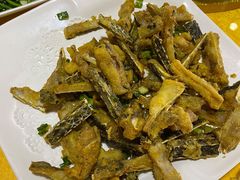 -鲤鱼塘农家山庄