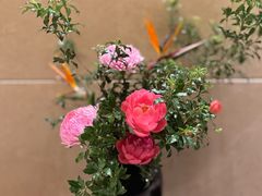 -长沙顺天凯宾斯基酒店·祈顺酒家中餐厅(雨花亭店)