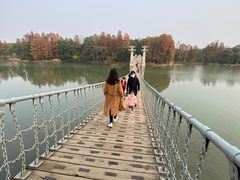 -东湖落雁景区