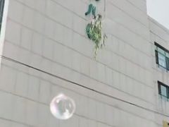 -哈尔滨市尚志幼儿园