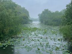 -昆山城市生态森林公园