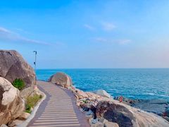 -广东惠东海龟国家级自然保护区