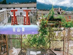 -喵屿·大理花园猫咖