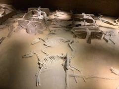 -洛阳周王城天子驾六博物馆