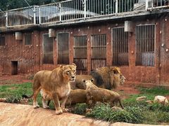 -昆明动物园