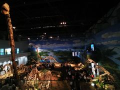 -自贡恐龙博物馆