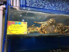 水产区-蚝专家(北滘店)