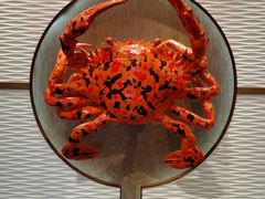 -海逸海鲜酒家(古北店)