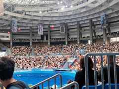 -海合安成都极地海洋公园