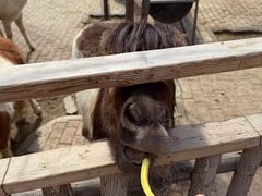 -水上乐园·欢乐世界