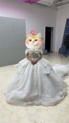 -金夫人婚纱摄影(总店)