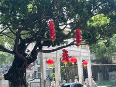 -荔湾湖公园