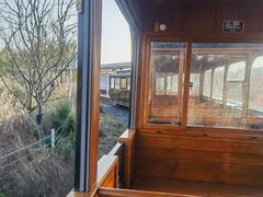 -合肥滨湖国家森林公园