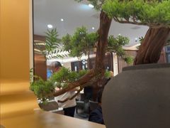 -高玛纳驴肉火烧(一世界店)