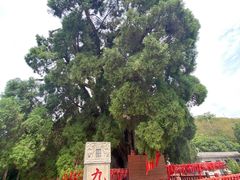 -四门塔风景区