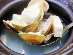 文蛤豆腐汤-鑫鸿达·海鲜闽菜热炒小馆(中山路店)