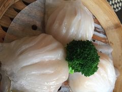 -新兴·金羊座·粤菜点心(乐峰店)