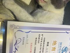 -瑞派旺宝宠物医院·犬猫全科综合·尿道专科(莲兴院)