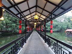 -侨美·唐荔园·40年地道粤菜